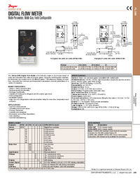 Thumbnail of document Brochure - DFM Digital Flow Meter